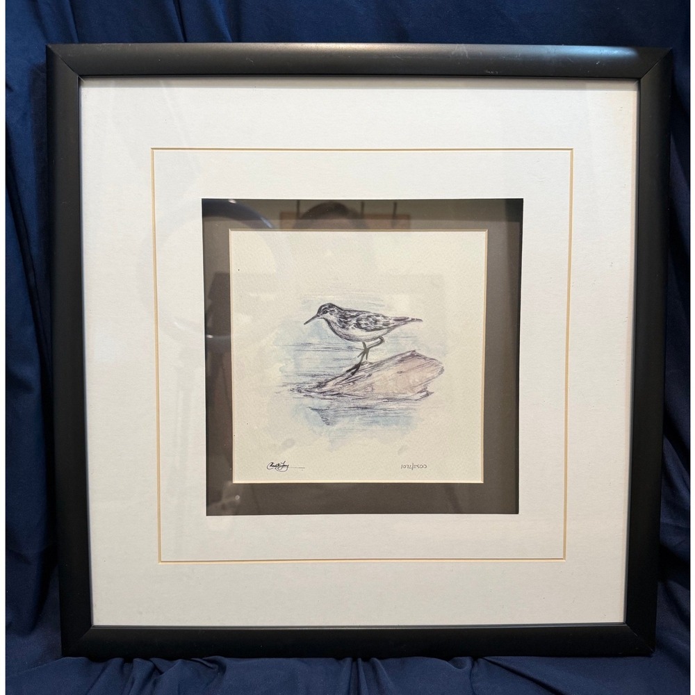 Christy Long Signed Shorebird Giclee Art Print Limited Edition 1072/2500 Framed